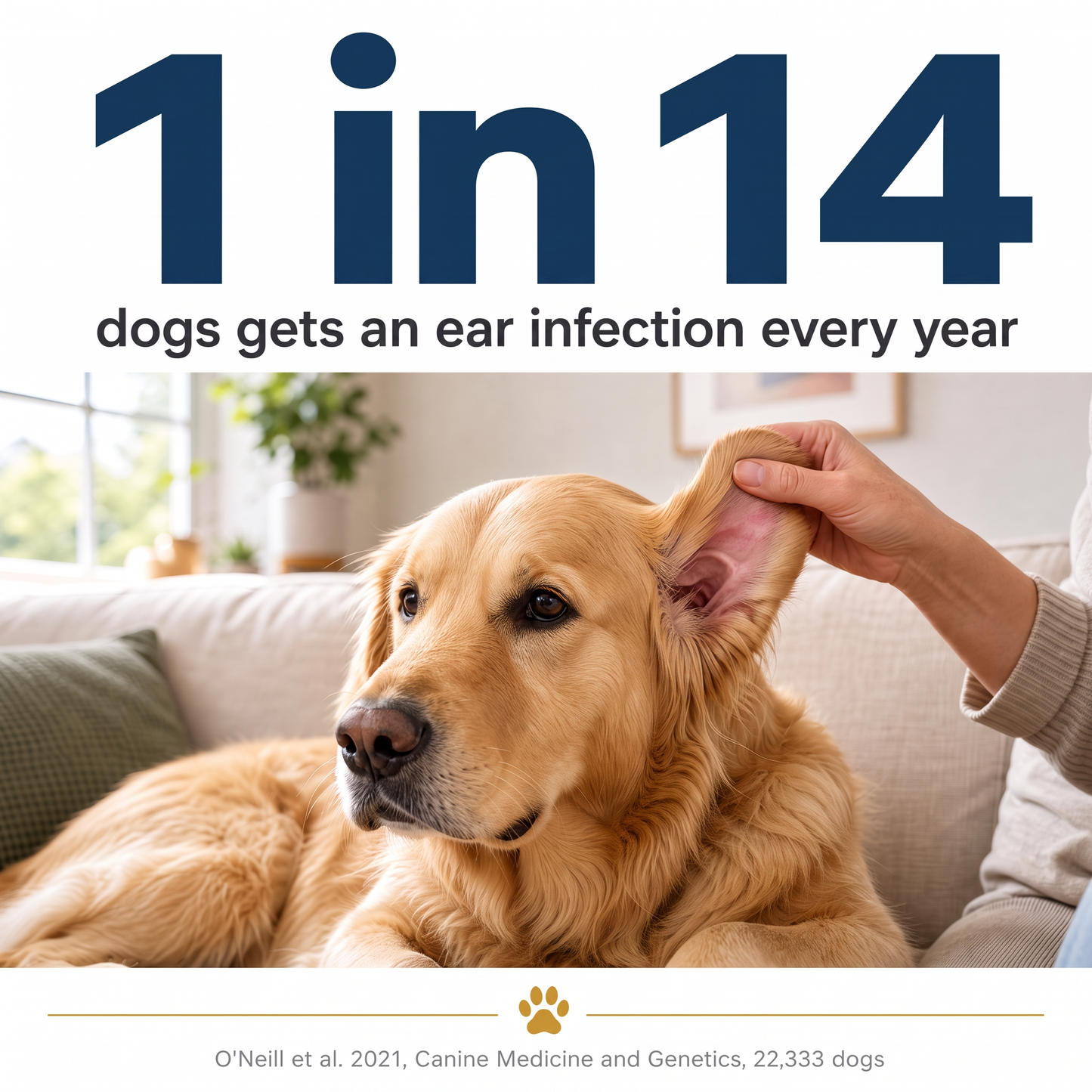 EarPure™ Deep Clean Rinse for Dogs & Cats